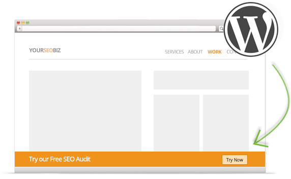 WordPress plugin