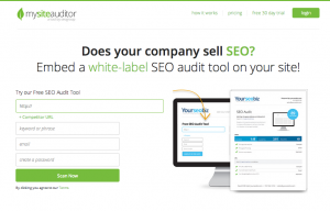 Free Website Auditor