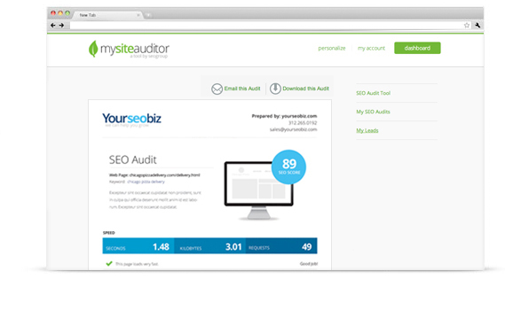 Personalize SEO Audit Tool